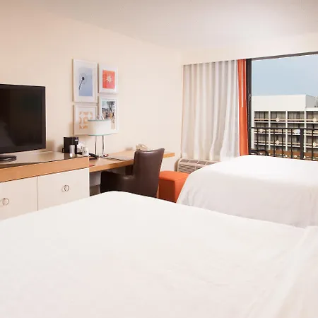 Sheraton Resort, Lake Buena Vista Orlando, Newly Renovated Complimentary Shuttle To Disney-2